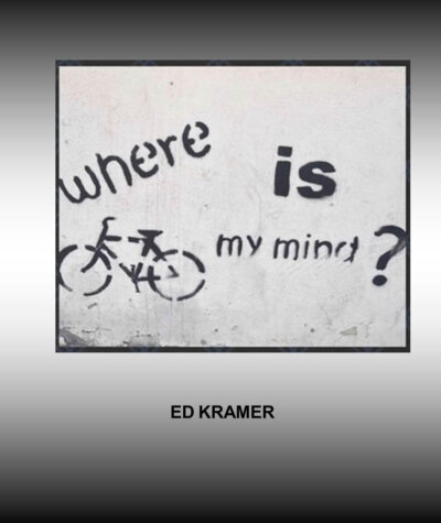 Where Is My Mind book cover Where is My Mind, visual storyteller, unique books, funny stories