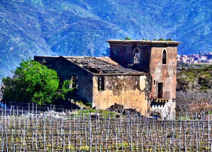 abandoned winery with a failed roof located in Sicily