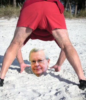 cool photo, head buried in sand at beach